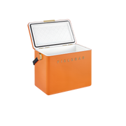 Gin Trunk / Orchard Orange