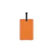 Gin Trunk / Orchard Orange
