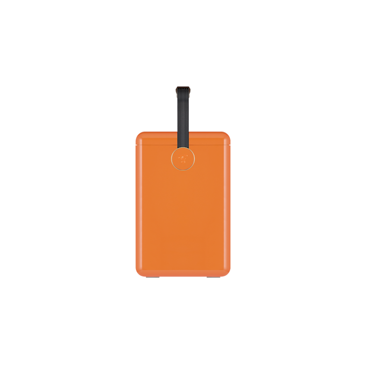 Gin Trunk / Orchard Orange