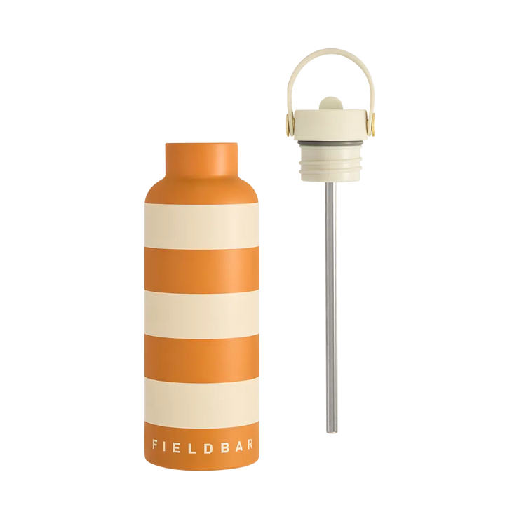 Sip Lid & Metal Straw
