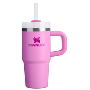 The Quencher H2.O FlowState™ Tumbler with Handle | 14 OZ