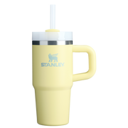 The Quencher H2.O FlowState™ Tumbler with Handle | 14 OZ